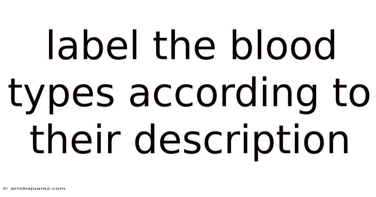 Label The Blood Types According To Their Description