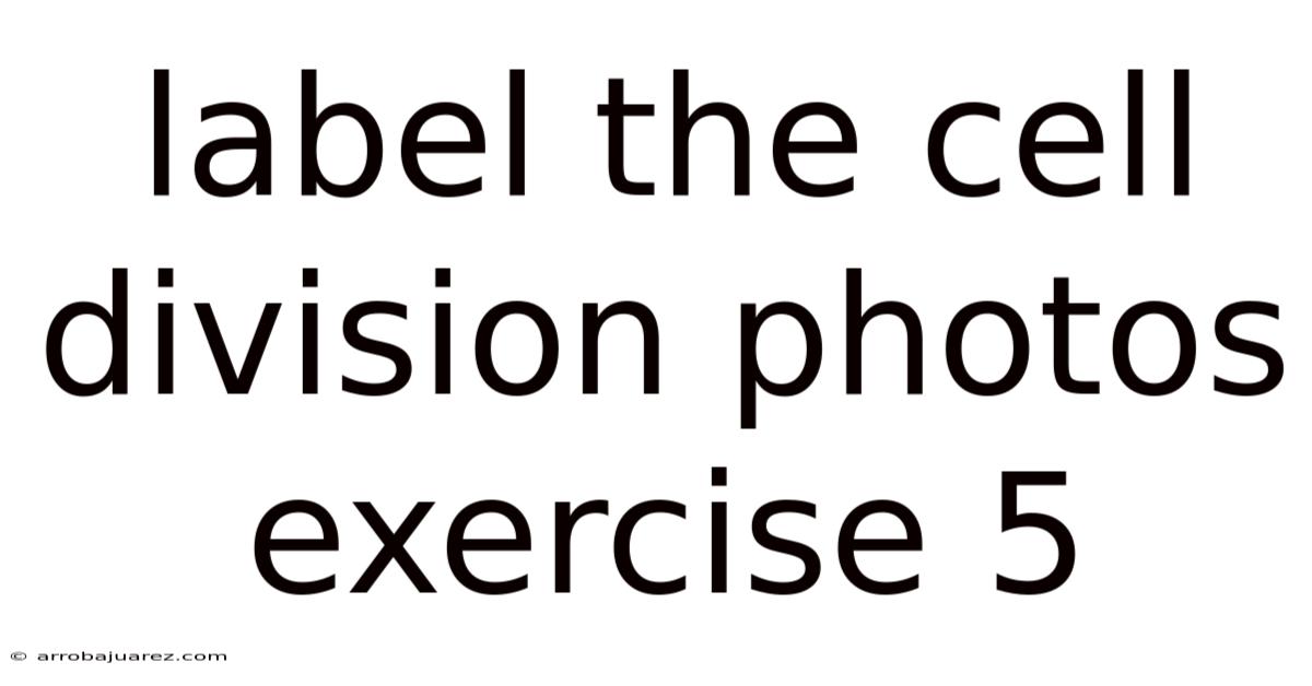 Label The Cell Division Photos Exercise 5