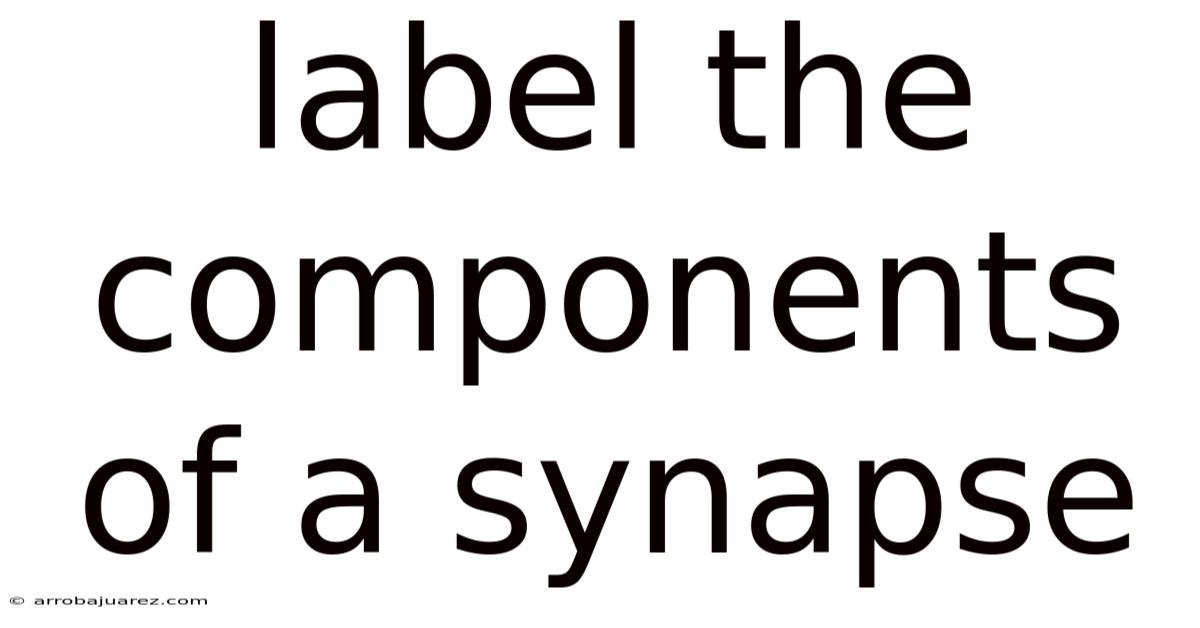 Label The Components Of A Synapse