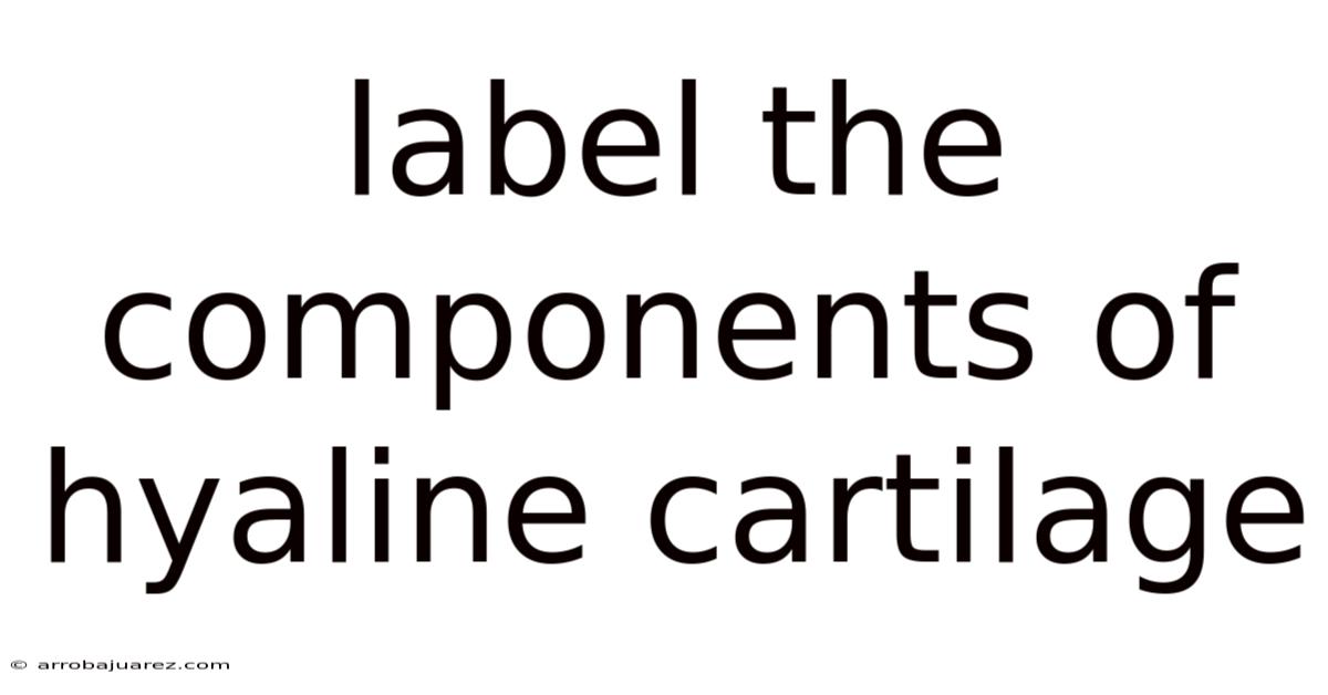 Label The Components Of Hyaline Cartilage