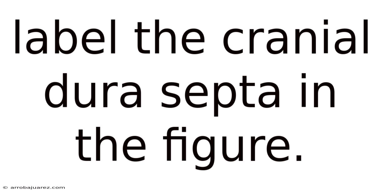 Label The Cranial Dura Septa In The Figure.
