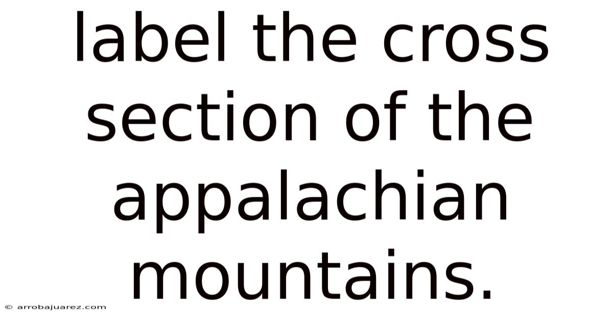 Label The Cross Section Of The Appalachian Mountains.