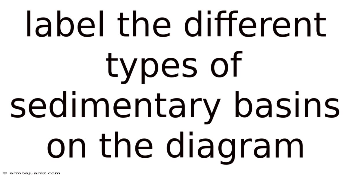 Label The Different Types Of Sedimentary Basins On The Diagram