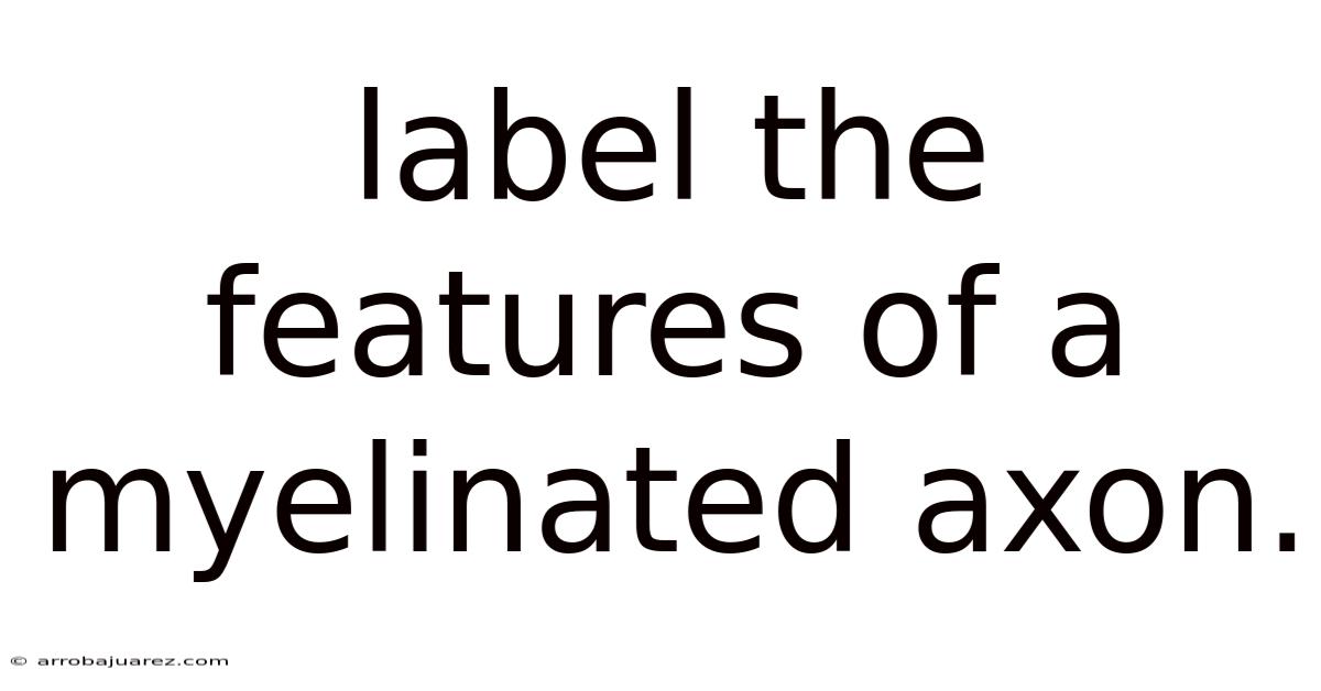 Label The Features Of A Myelinated Axon.