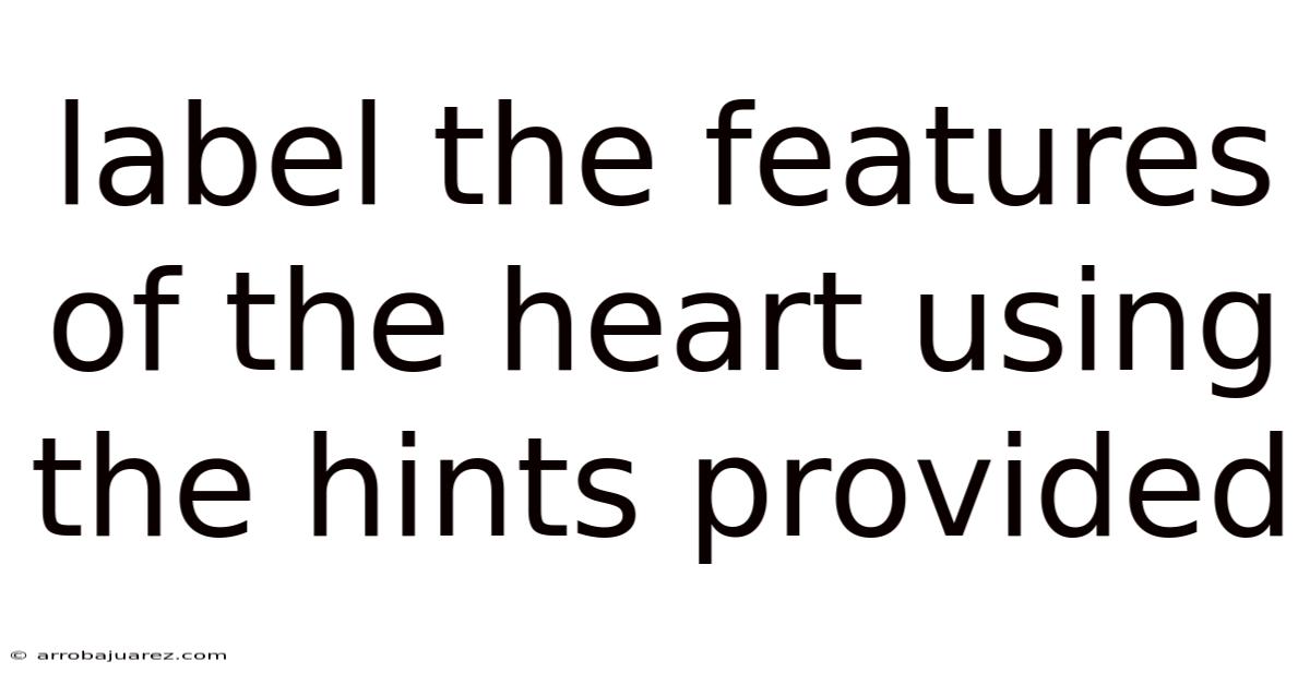 Label The Features Of The Heart Using The Hints Provided