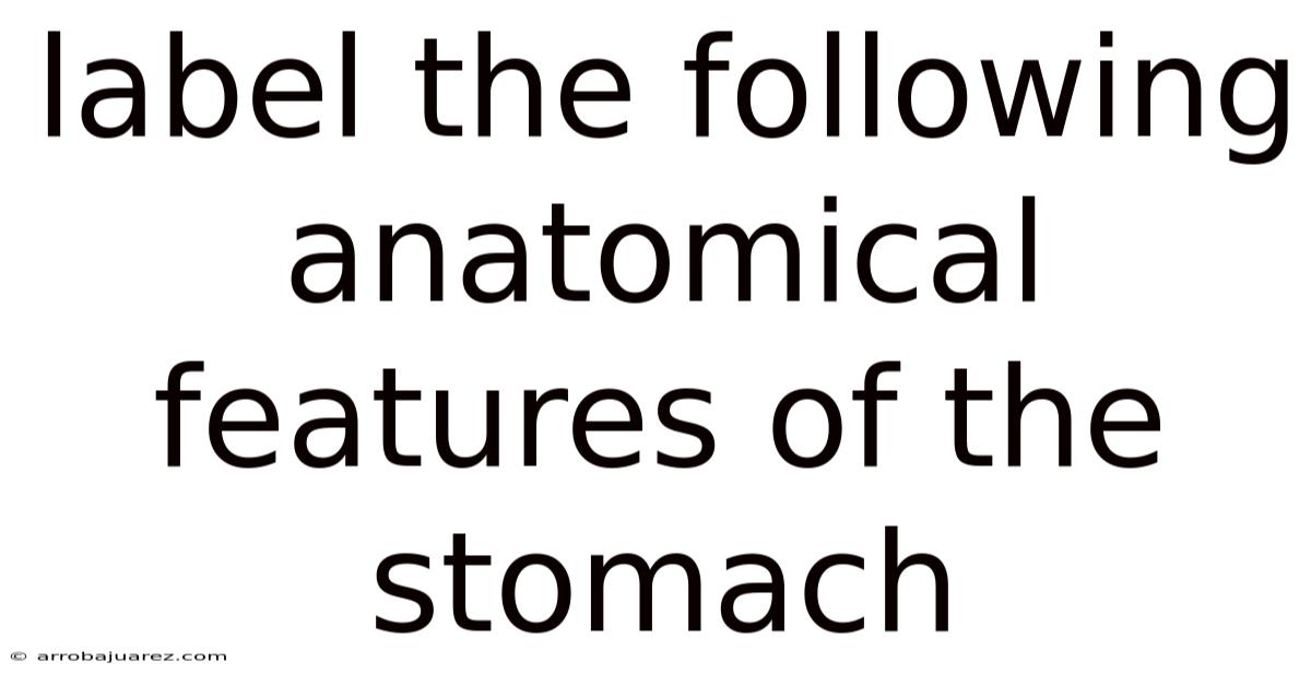 Label The Following Anatomical Features Of The Stomach