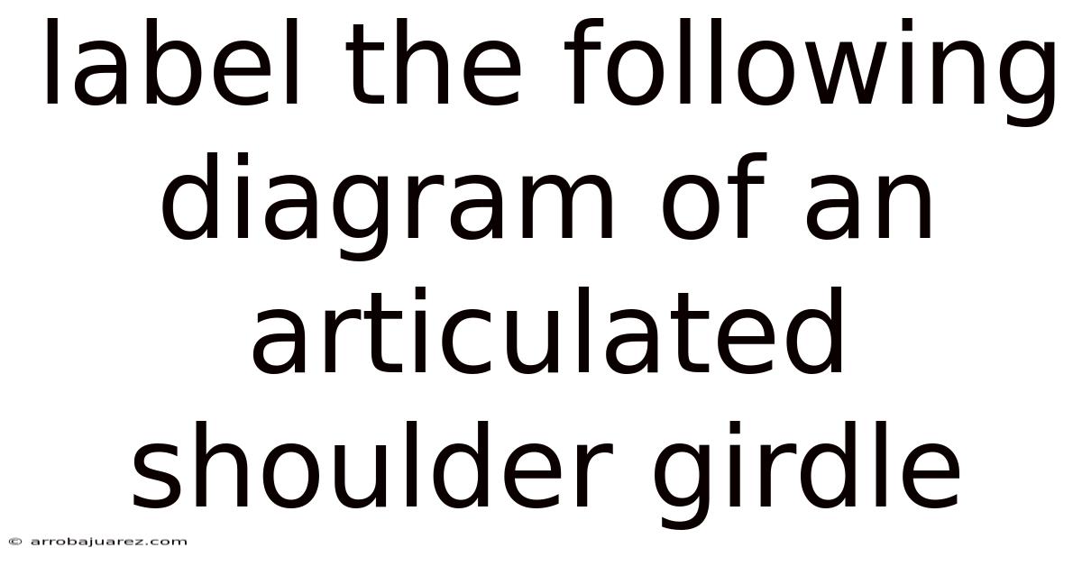 Label The Following Diagram Of An Articulated Shoulder Girdle