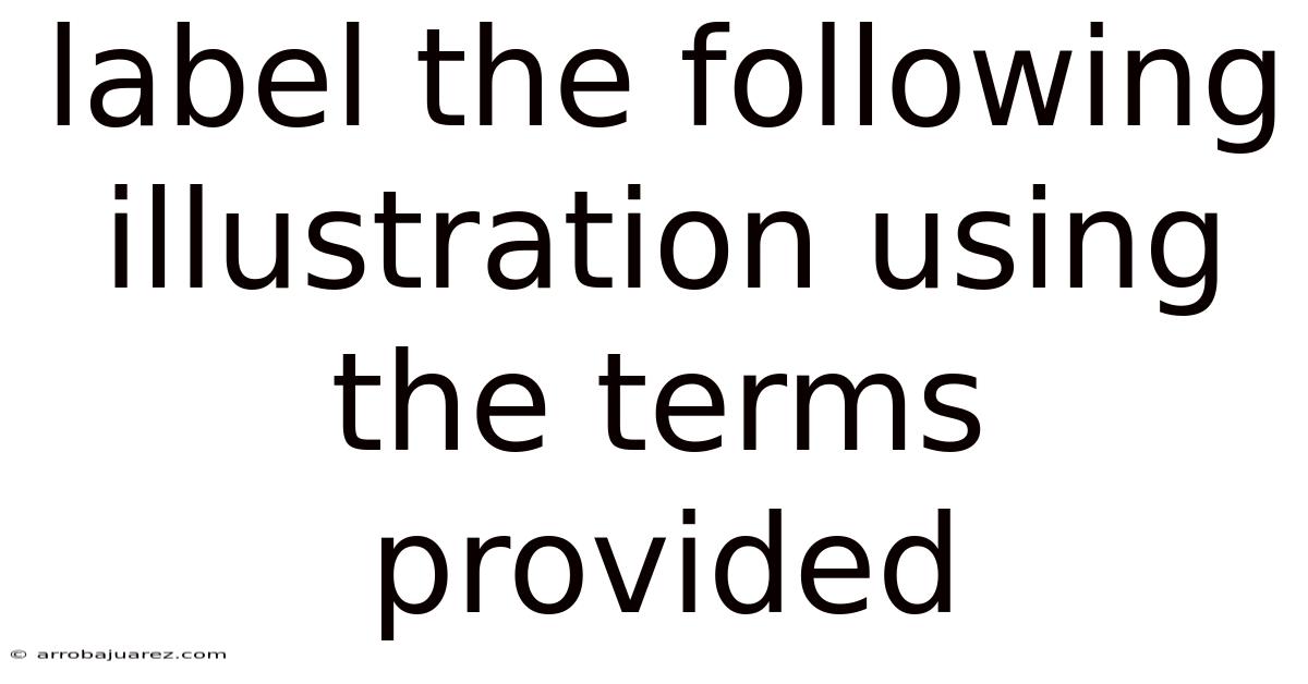 Label The Following Illustration Using The Terms Provided