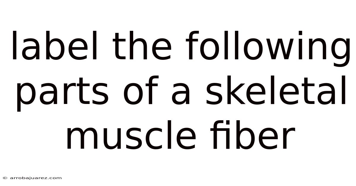 Label The Following Parts Of A Skeletal Muscle Fiber