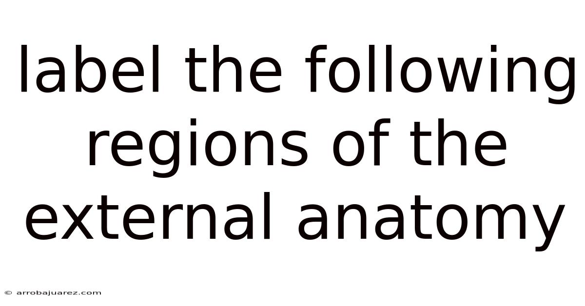 Label The Following Regions Of The External Anatomy
