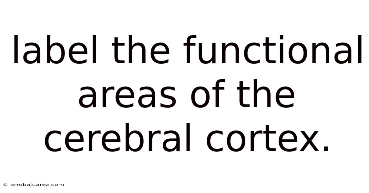 Label The Functional Areas Of The Cerebral Cortex.