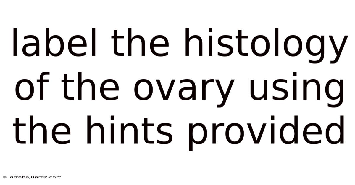 Label The Histology Of The Ovary Using The Hints Provided