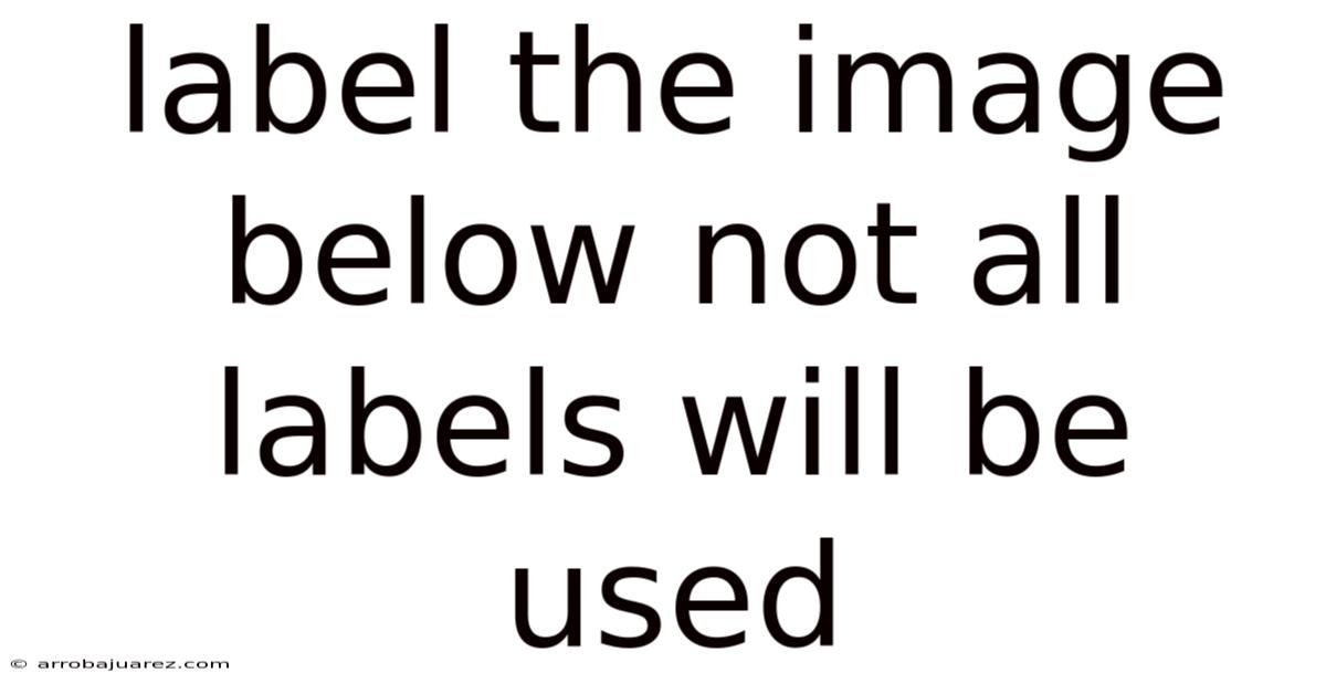 Label The Image Below Not All Labels Will Be Used