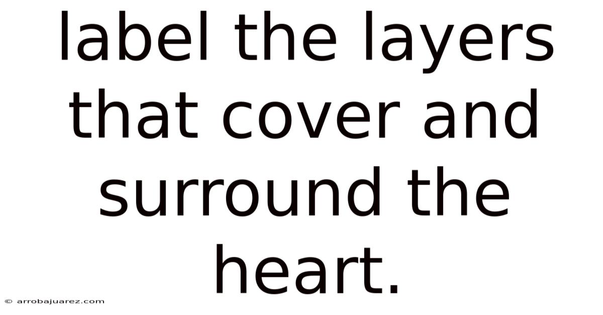 Label The Layers That Cover And Surround The Heart.