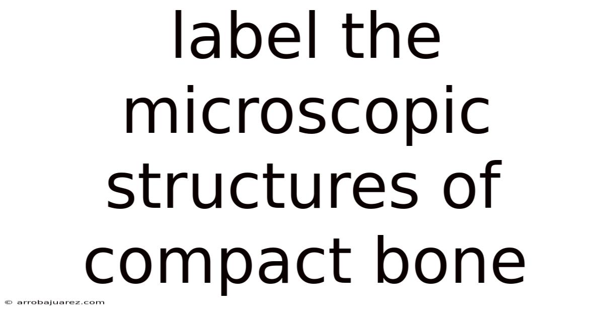 Label The Microscopic Structures Of Compact Bone