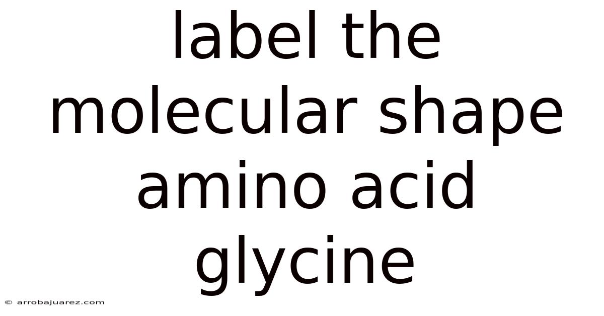 Label The Molecular Shape Amino Acid Glycine
