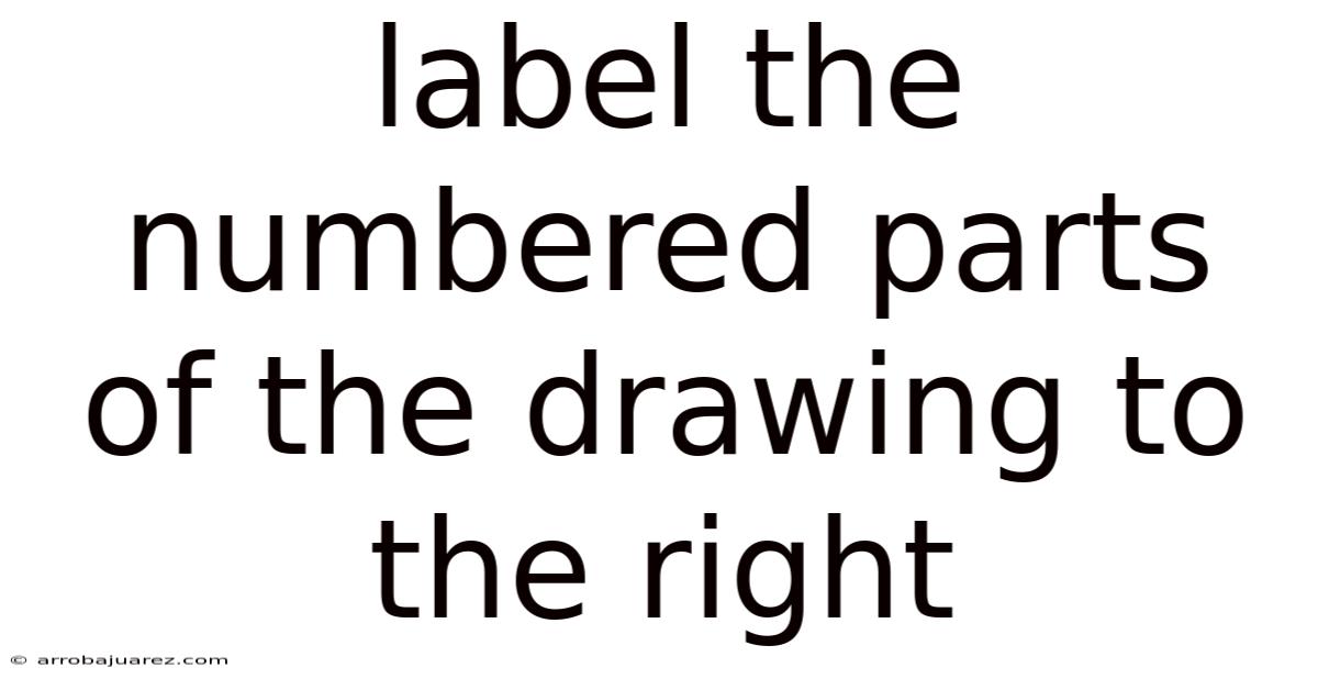 Label The Numbered Parts Of The Drawing To The Right