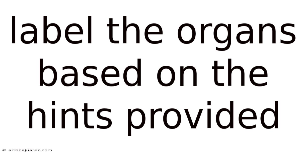 Label The Organs Based On The Hints Provided