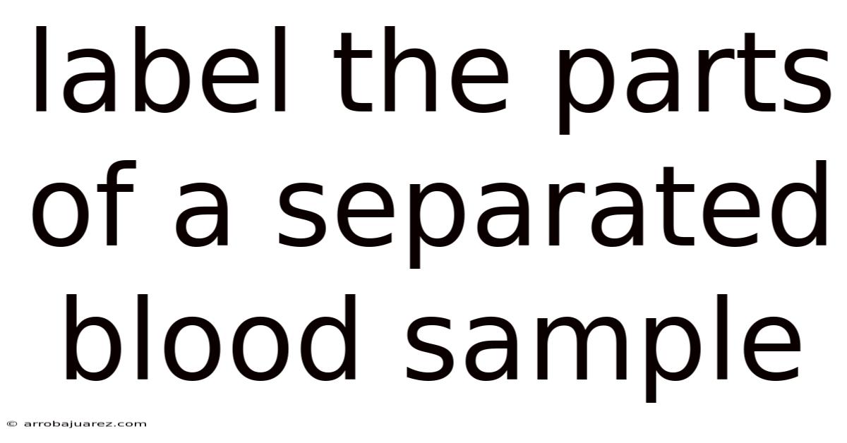 Label The Parts Of A Separated Blood Sample