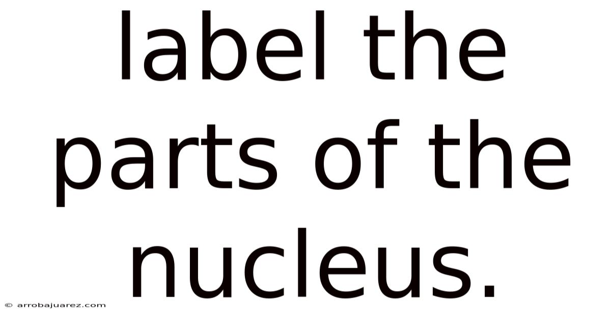 Label The Parts Of The Nucleus.