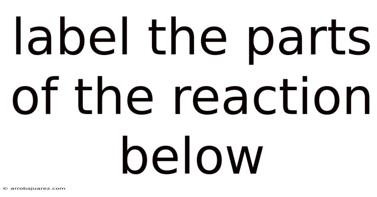 Label The Parts Of The Reaction Below