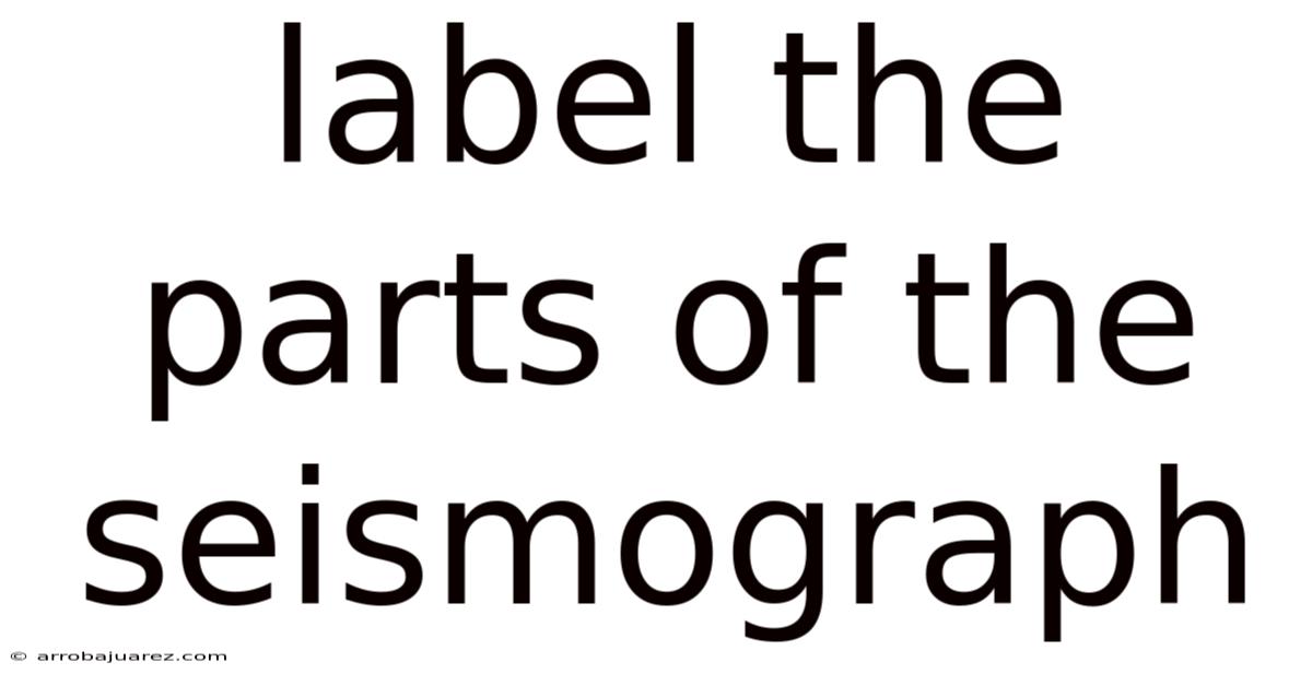 Label The Parts Of The Seismograph