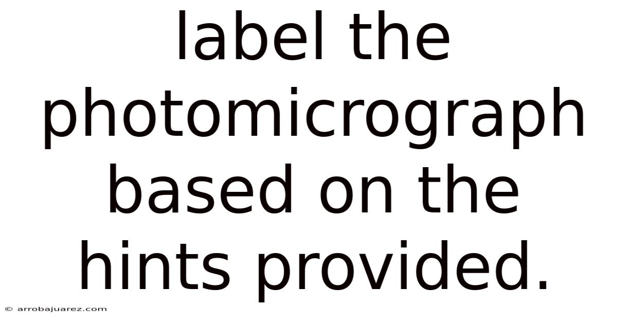 Label The Photomicrograph Based On The Hints Provided.