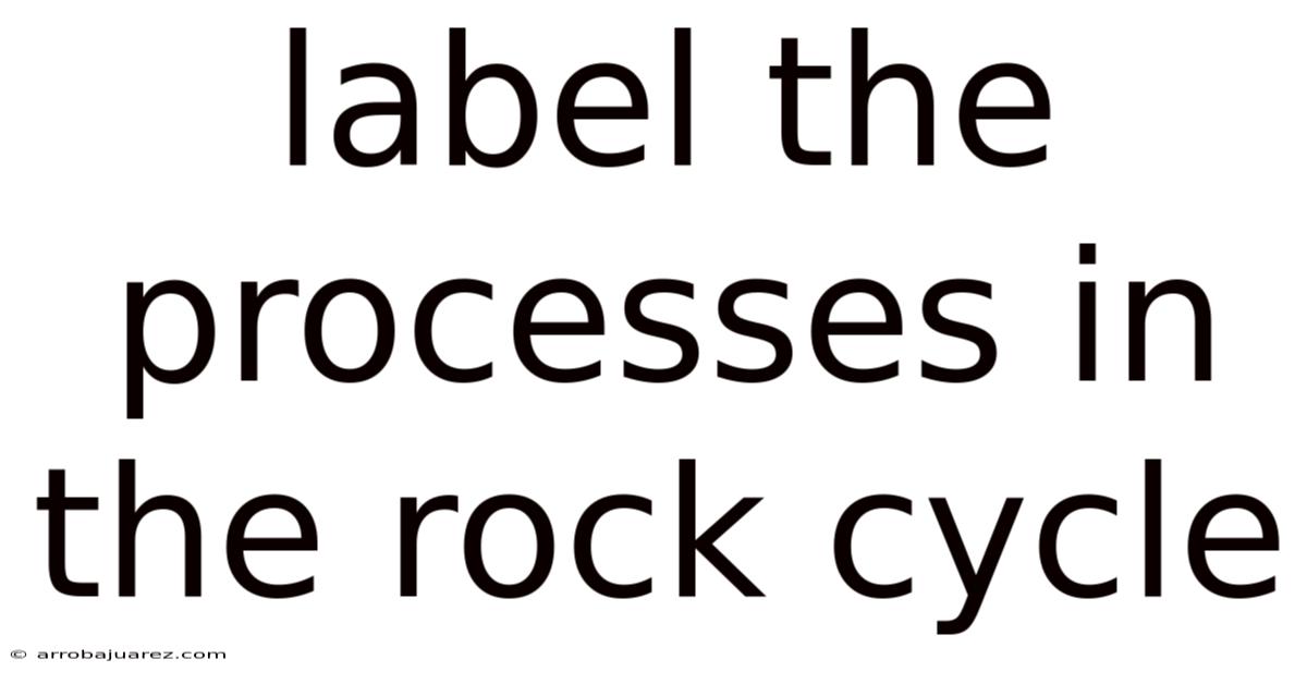 Label The Processes In The Rock Cycle