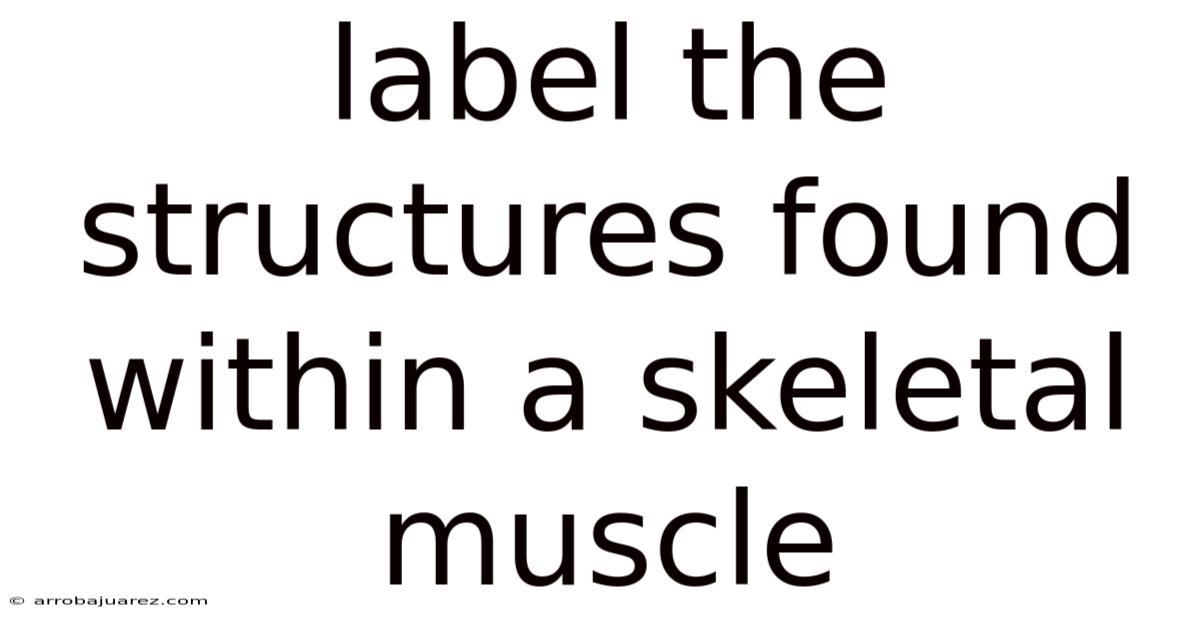 Label The Structures Found Within A Skeletal Muscle