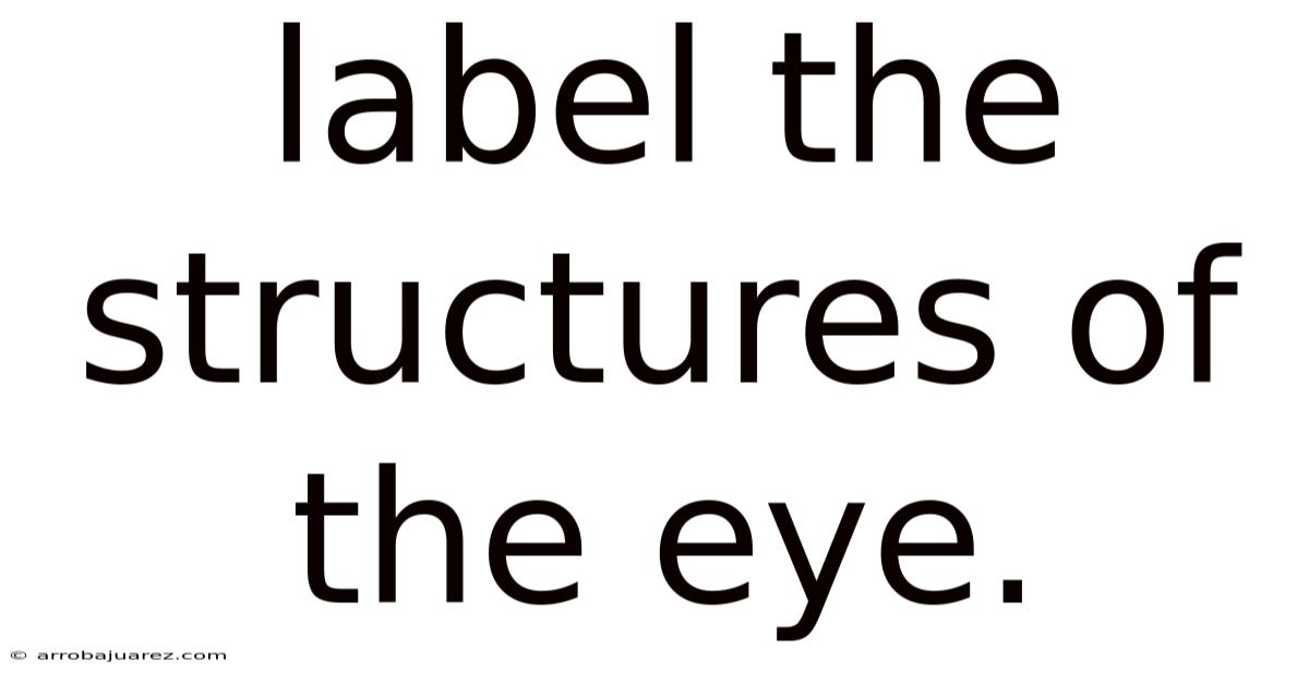Label The Structures Of The Eye.