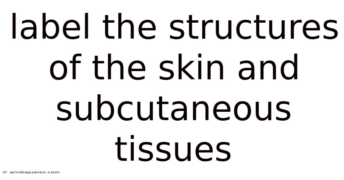 Label The Structures Of The Skin And Subcutaneous Tissues