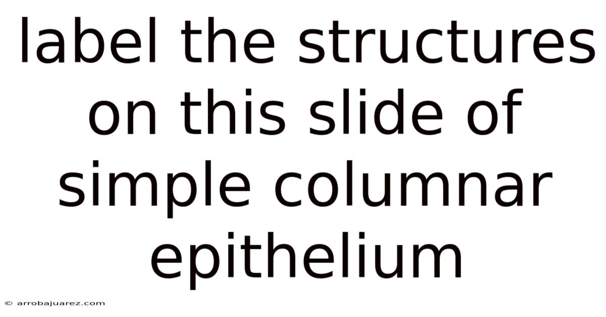 Label The Structures On This Slide Of Simple Columnar Epithelium