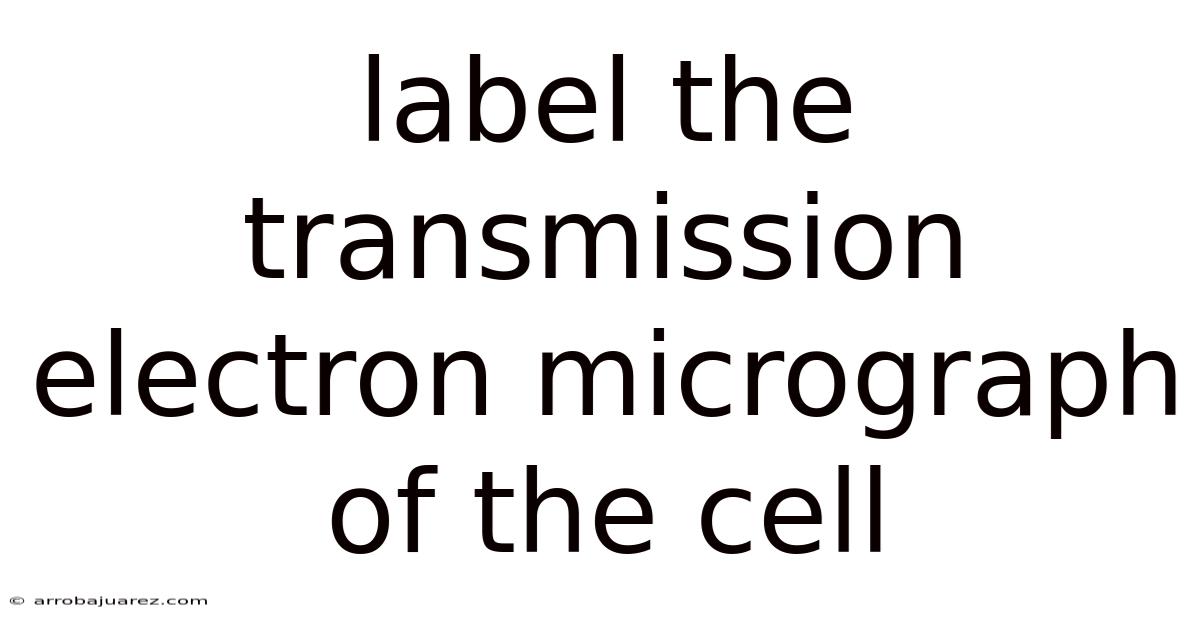 Label The Transmission Electron Micrograph Of The Cell