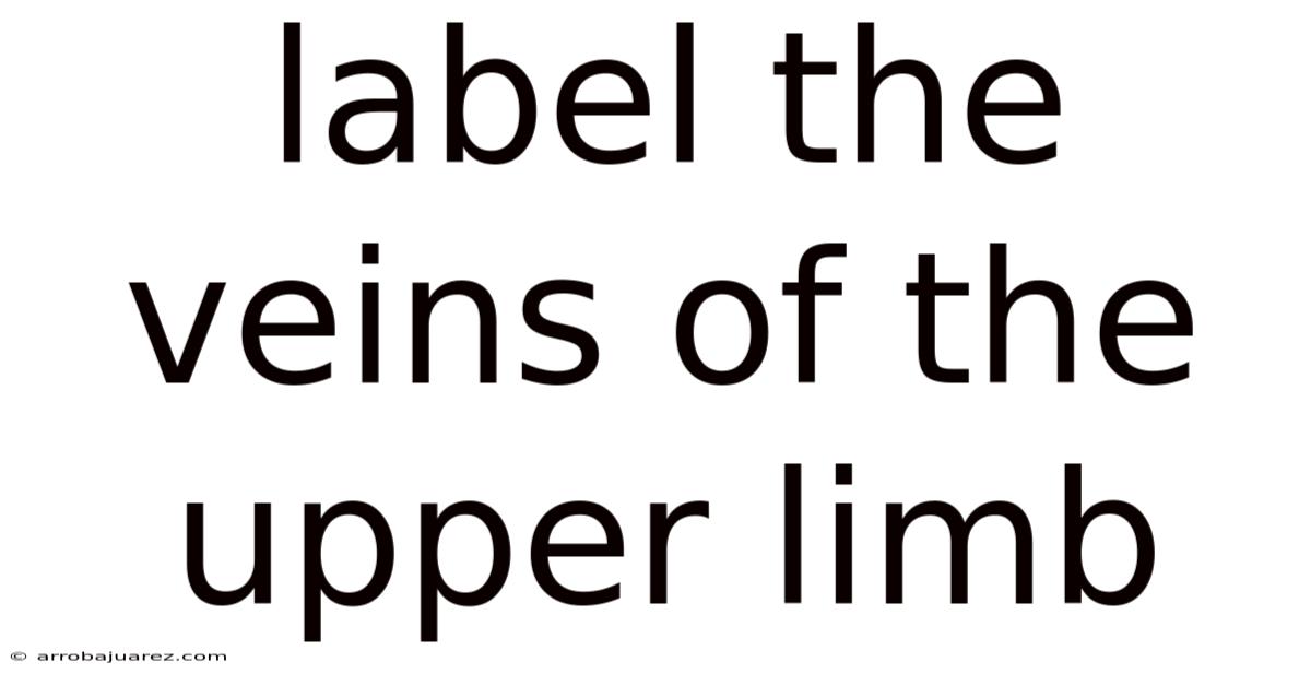 Label The Veins Of The Upper Limb