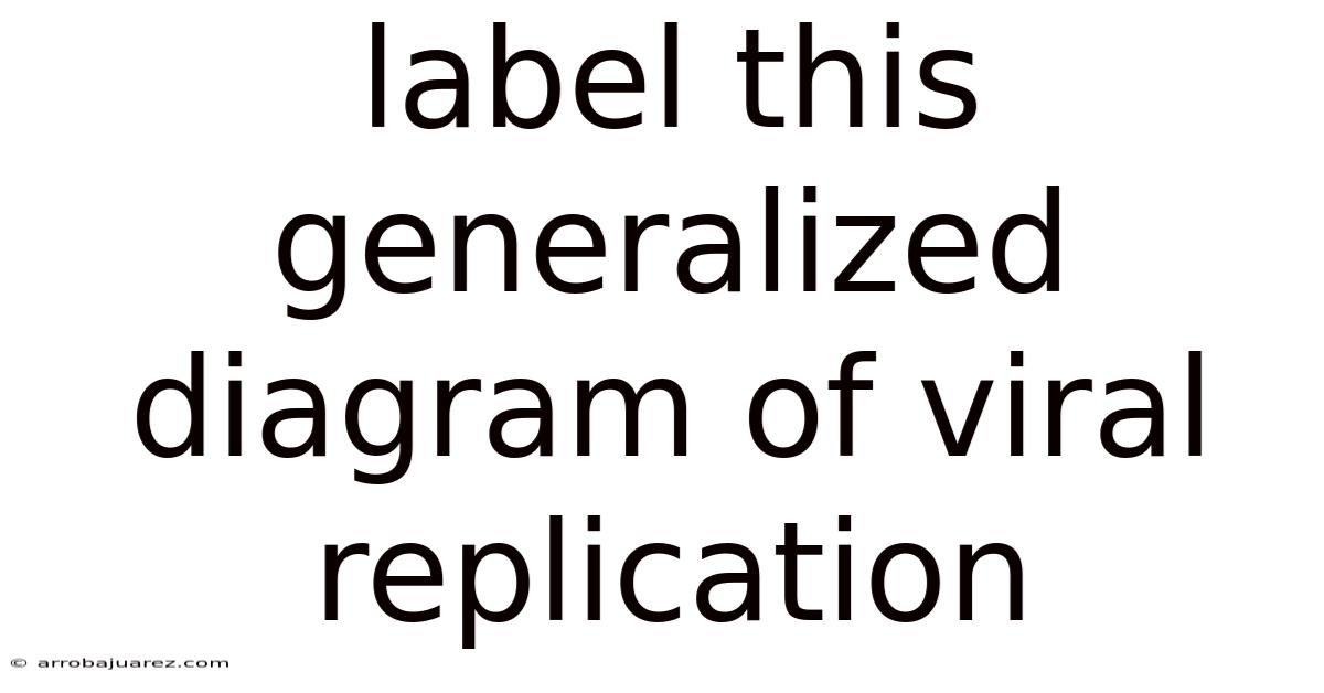 Label This Generalized Diagram Of Viral Replication