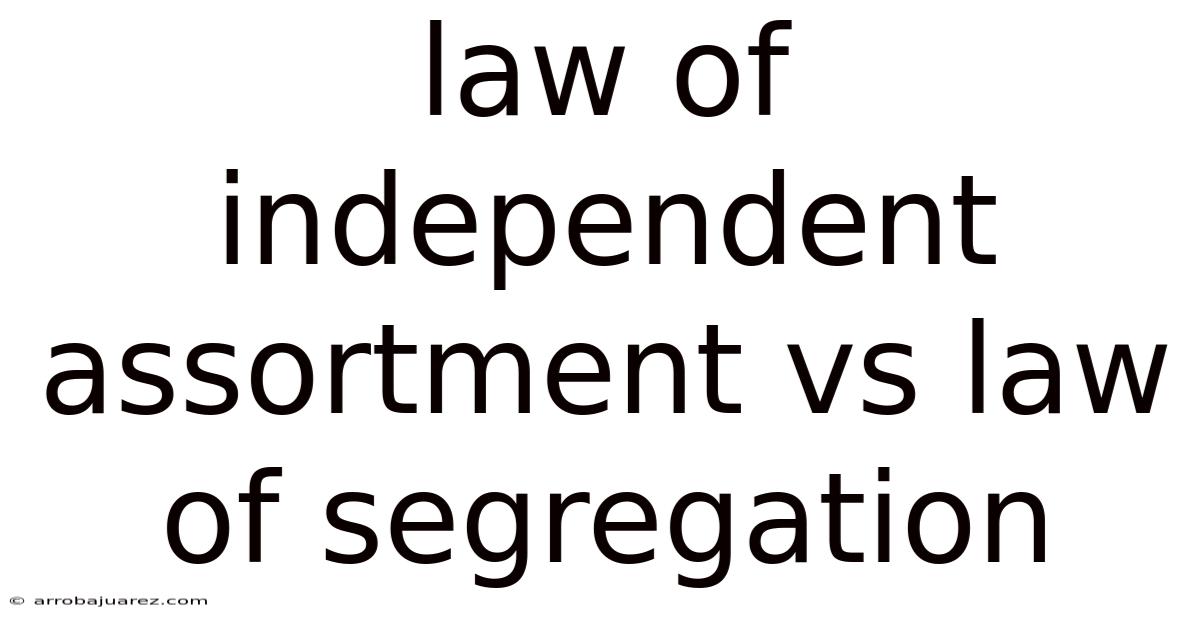 Law Of Independent Assortment Vs Law Of Segregation