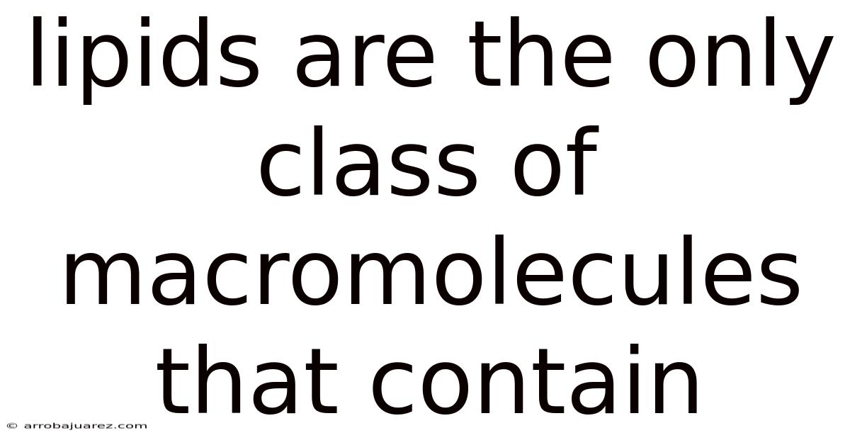 Lipids Are The Only Class Of Macromolecules That Contain
