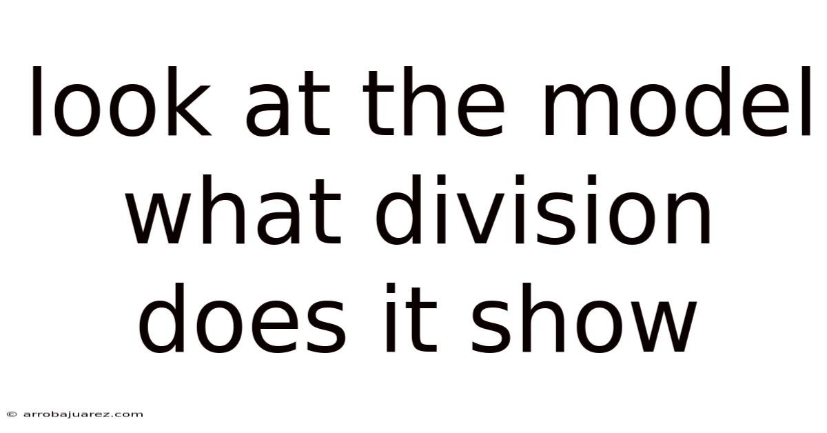 Look At The Model What Division Does It Show