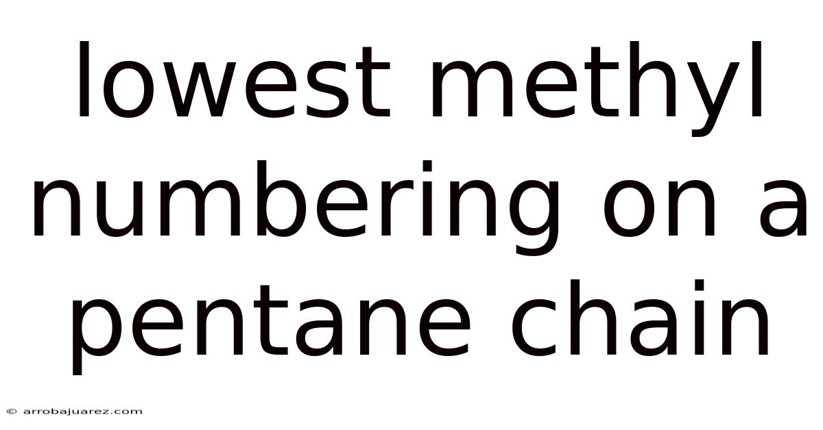 Lowest Methyl Numbering On A Pentane Chain