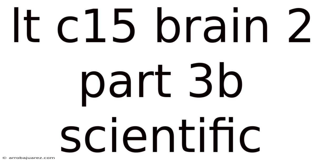 Lt C15 Brain 2 Part 3b Scientific