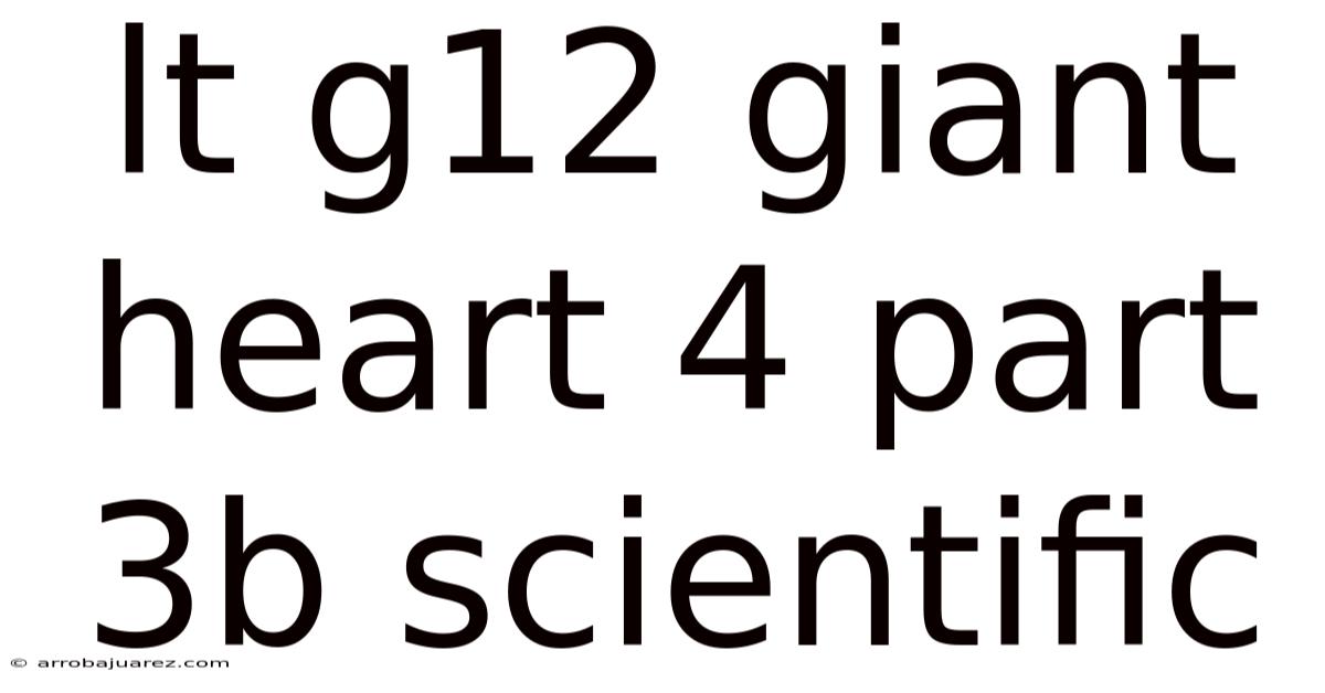 Lt G12 Giant Heart 4 Part 3b Scientific