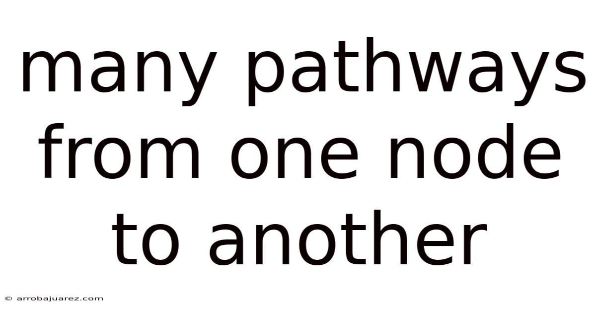 Many Pathways From One Node To Another