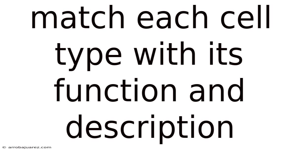 Match Each Cell Type With Its Function And Description