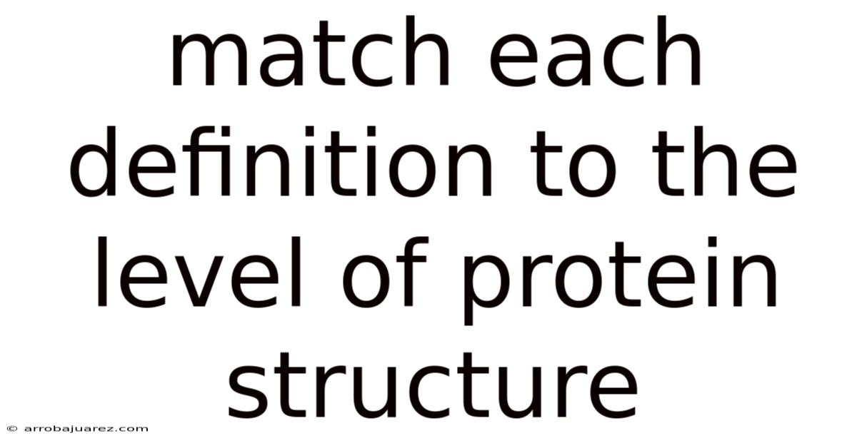 Match Each Definition To The Level Of Protein Structure