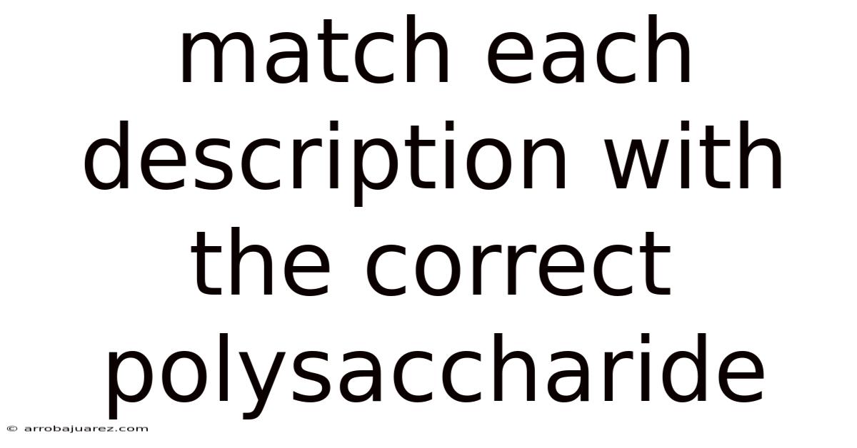 Match Each Description With The Correct Polysaccharide