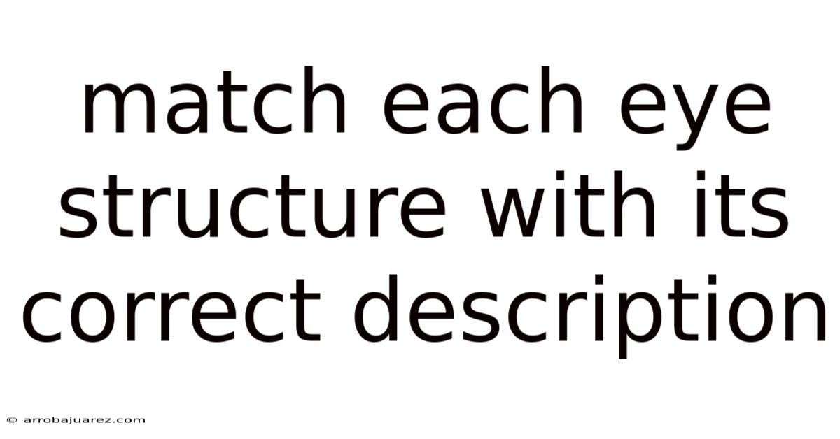 Match Each Eye Structure With Its Correct Description