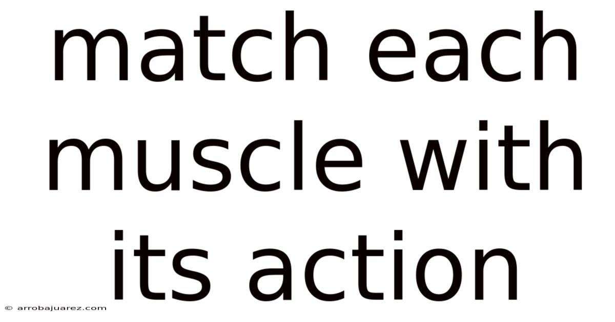 Match Each Muscle With Its Action