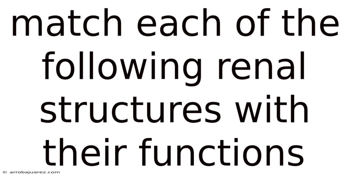 Match Each Of The Following Renal Structures With Their Functions