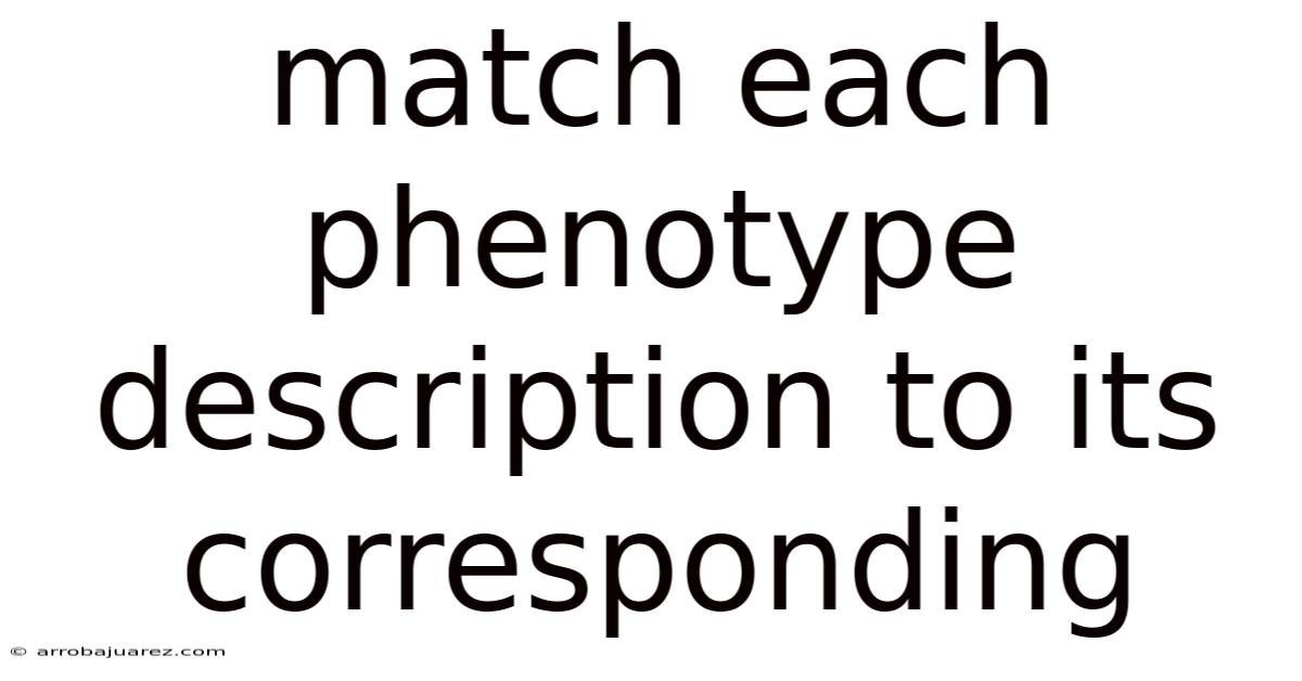Match Each Phenotype Description To Its Corresponding