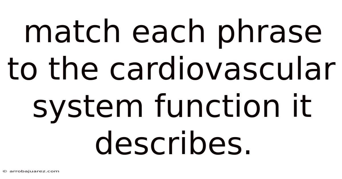 Match Each Phrase To The Cardiovascular System Function It Describes.